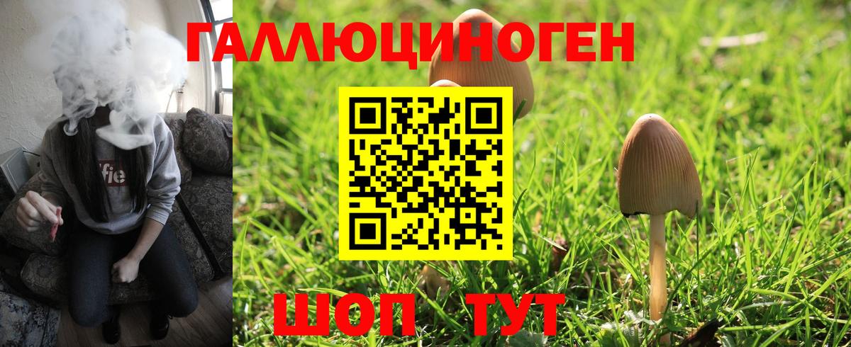 Псилоцибиновые грибы Psilocybe Кумертау